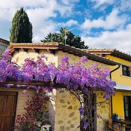 Il Cortile Delle Rose Holiday House بيرودجا المظهر الخارجي الصورة